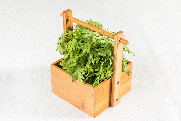 茼蒿 茼蒿